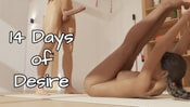 Download 14 Days of Desire