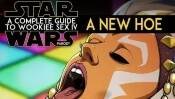 Download Star Wars: A Complete Guide to Wookie Sex 1-6