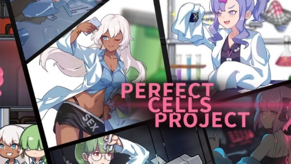 PERFECT CELLS PROJECT - Demo cover image